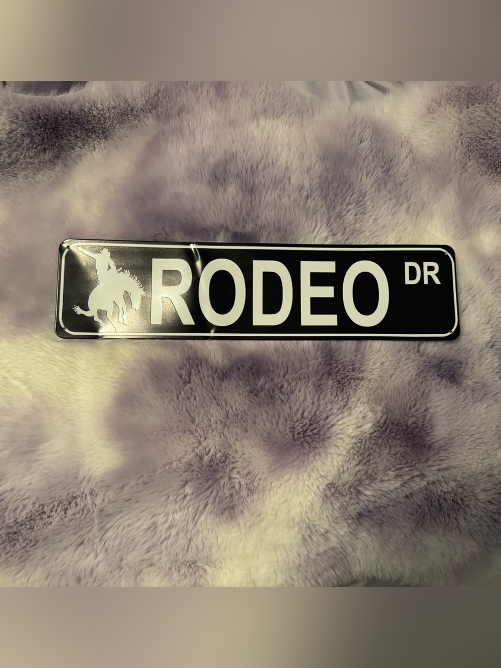 RODEO DR Black Street Sign Wall Decor